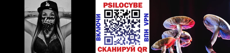 Псилоцибиновые грибы GOLDEN TEACHER  где купить наркоту  Высоцк 